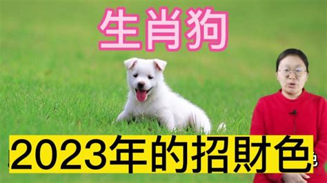 生肖狗幸運色|【屬狗2024生肖運勢】運勢荊棘滿途，當心血光之。